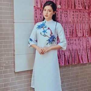 Áo dài Vietnamese traditional dress